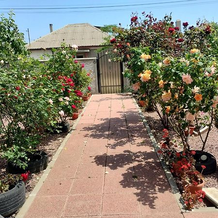 Casa Doina Hotel Douăzeci şi Trei August Kültér fotó