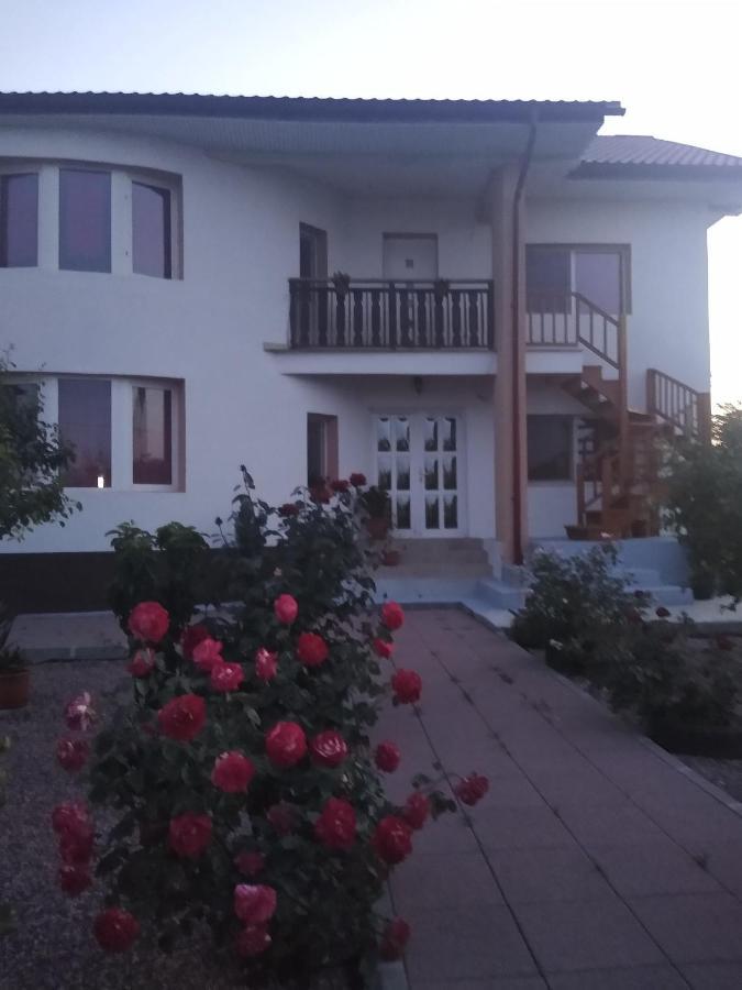 Casa Doina Hotel Douăzeci şi Trei August Kültér fotó