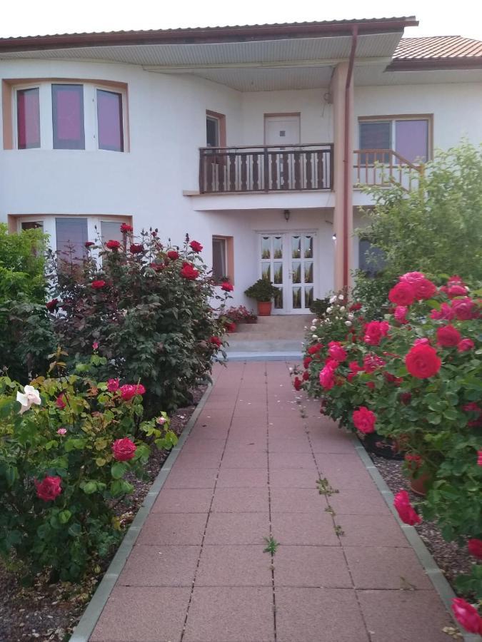 Casa Doina Hotel Douăzeci şi Trei August Kültér fotó