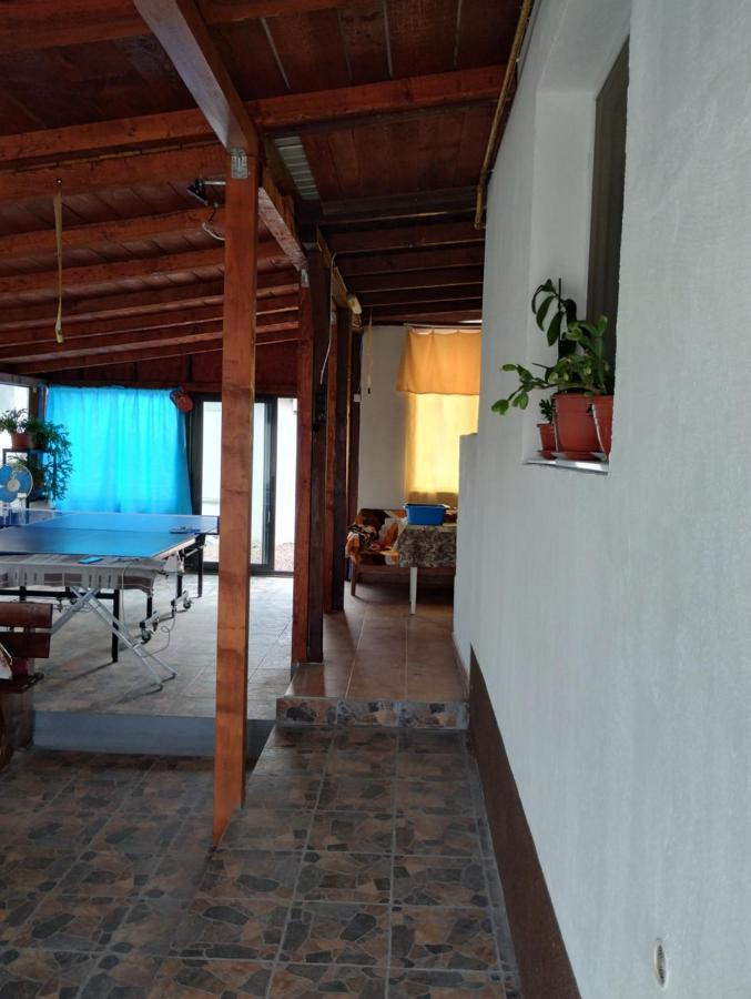 Casa Doina Hotel Douăzeci şi Trei August Kültér fotó