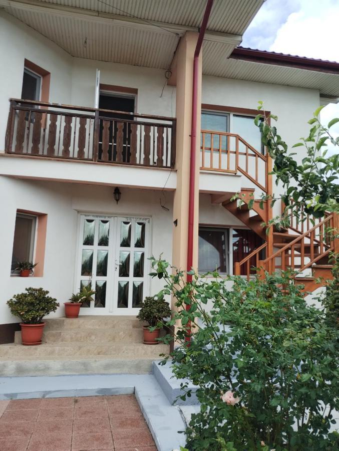 Casa Doina Hotel Douăzeci şi Trei August Kültér fotó