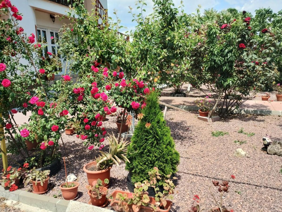 Casa Doina Hotel Douăzeci şi Trei August Kültér fotó