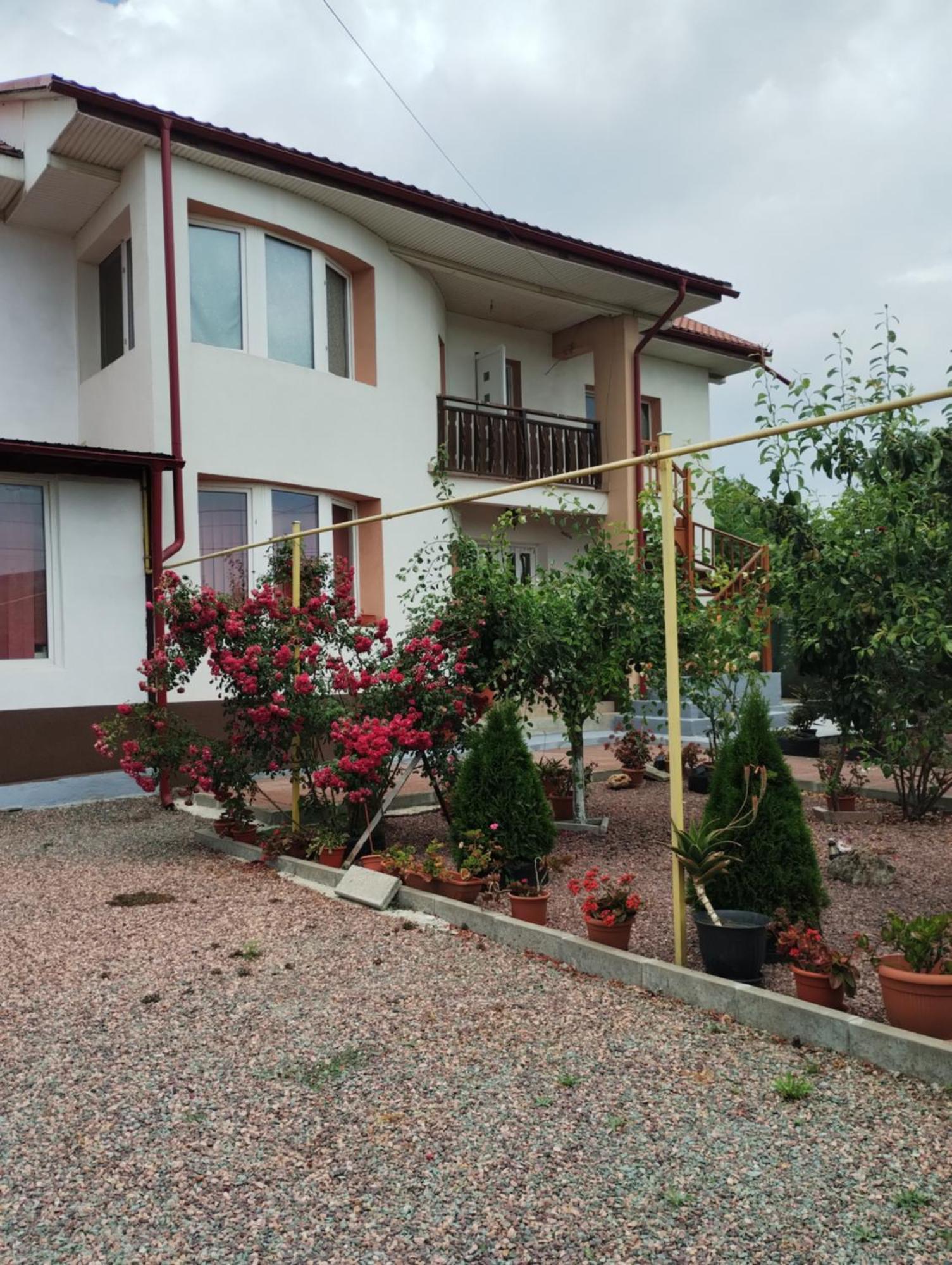 Casa Doina Hotel Douăzeci şi Trei August Kültér fotó