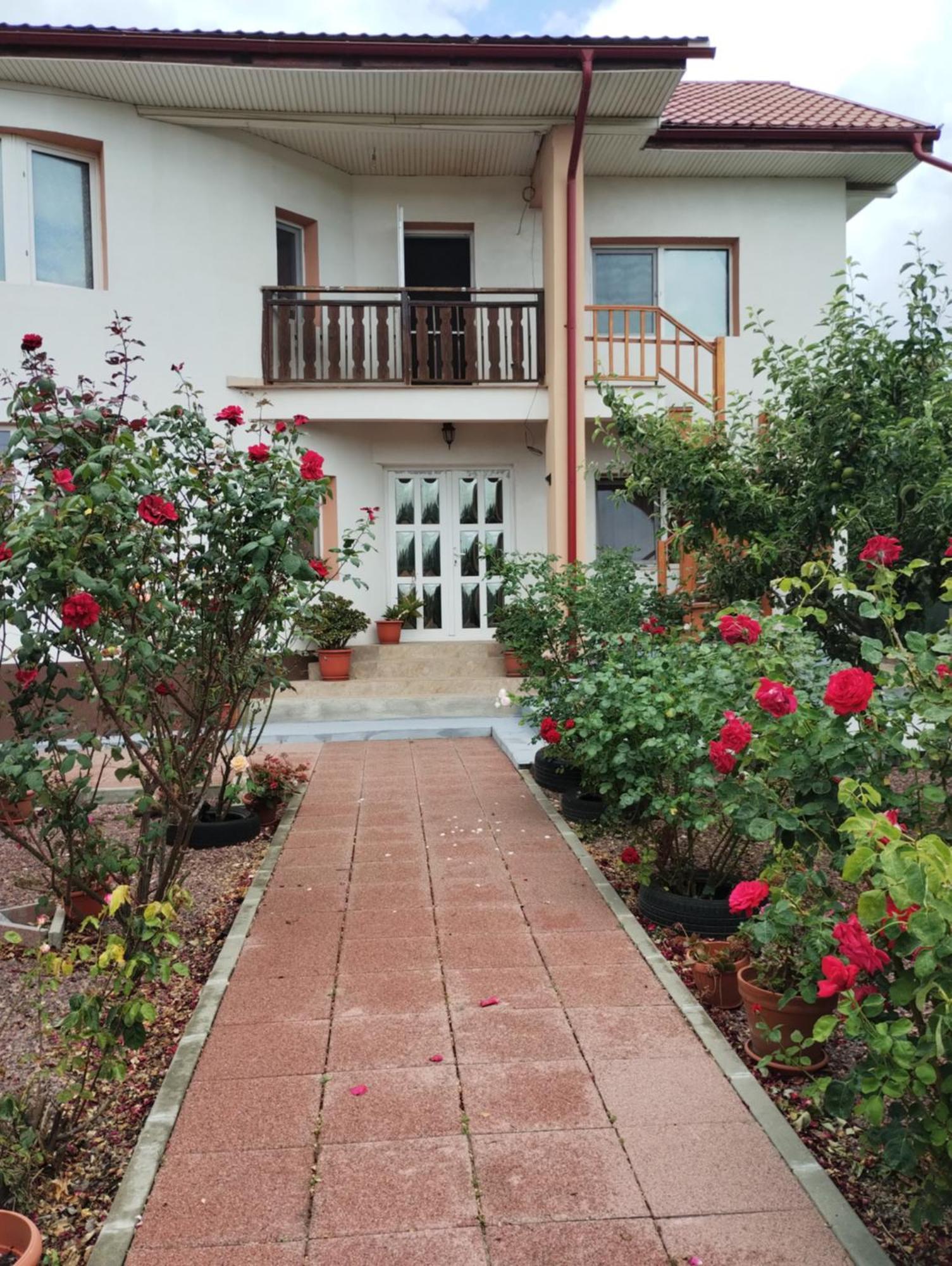Casa Doina Hotel Douăzeci şi Trei August Kültér fotó